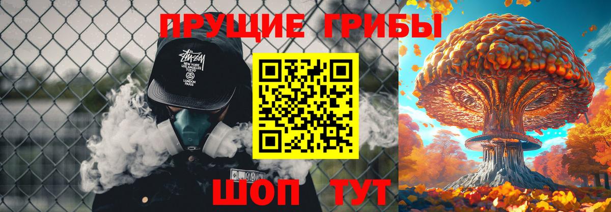 магазин продажи   Чусовой  Псилоцибиновые грибы ЛСД  Псилоцибиновые грибы Psilocybine cubensis 